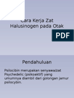 Cara Kerja Zat Halusinogen Pada Otak