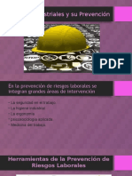 Riesgos Industriales y Su Prevención Administracion de La Produccion