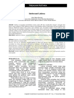 mkn-des2006- (8).pdf