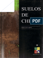 Walter Luzio Leighton-Suelos de Chile-Universidad de Chile (2010)