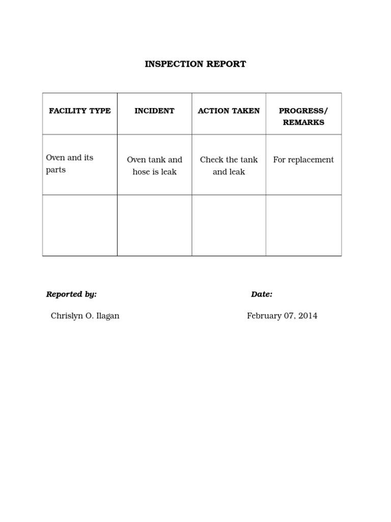 Facility Inspection Summary Report | PDF
