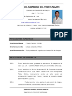 CV Ignacio Del Pozo Ingeniero 2017