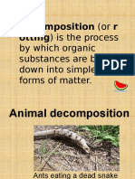 Decomposition (Or R Otting) Is The Process: by Which Organic Substances Are Broken Down Into Simpler Forms of Matter