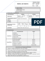 Perfil de Puesto - Jefe de Faena