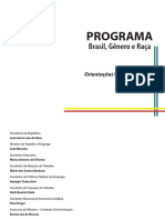 BRASIL. Programa Brasil, Gênero e Raça