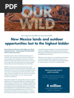 Report--New Mexico Lands and Outdoor Opportunities Lost to the Highest Bidder