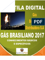 APOSTILA GÁS BRASILIANO 2017 ENGENHEIRO DE GÁS NATURAL + BRINDES