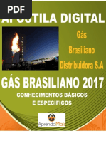 APOSTILA GÁS BRASILIANO 2017 ENGENHEIRO DE GÁS NATURAL + BRINDES