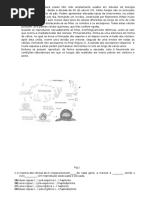 A Vida Na Terra Terá Surgido Há Cerca de 3400 M