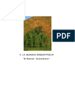 bambú Colombia.pdf