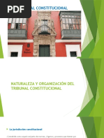 Tribunal Constitucional