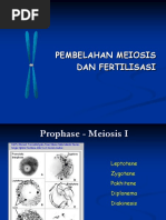 Pembelahan Meiosis dan Fertilisasi.pdf