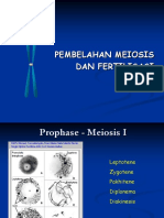 Pembelahan Meiosis Dan Fertilisasi PDF