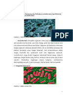 Archaebacteria