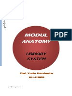 Urinary System Modul Anatomy - Yudaherdantoproduction