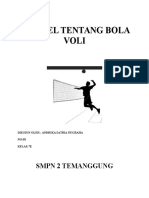 Artikel Tentang Bola Voli