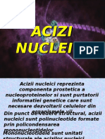 ACIZI NUCLEICI