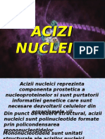 Acizi Nucleici