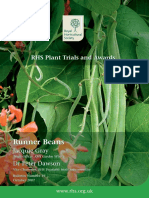 Runnerbeans PDF