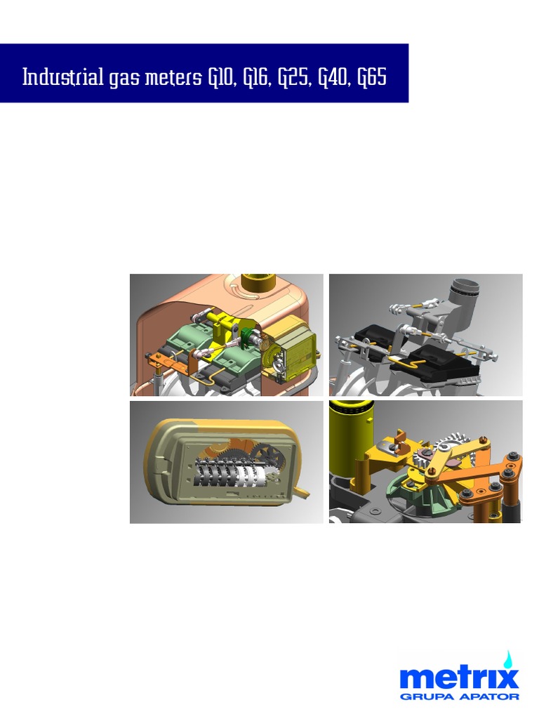 Measurement of Industrial Gas Flow An Overview of Gas Meters G10, G16