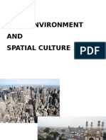 Built Environment AND Spatial Culture