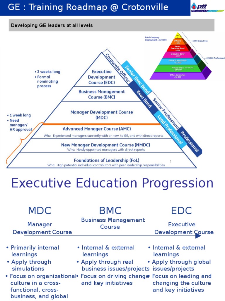 GE Training Roadmap Leadership Leadership & Mentoring