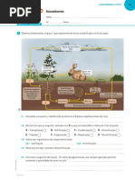ficha ciências 8º ano Ciclos Da Matéria