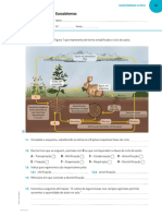 Ficha Ciências 8º Ano Ciclos Da Matéria