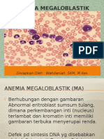 Anemia Megaloblastik