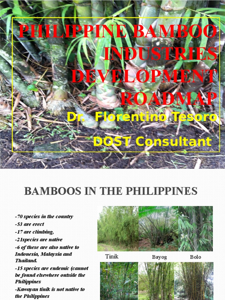 Philippine Bamboo Industries Development Roadmap by DR Florentino ...
