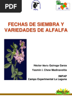 Cuando Sembrar Alfalfa Cuf101