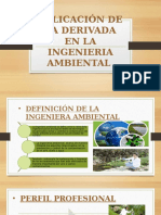 Aplicación de La Derivada en La Ingeneria Ambiental.ppt