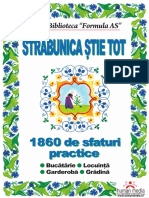 Strabunica Stie Tot PDF