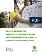 Policy Options For Agricultural Investments and Governance of Markets: in Support of Small-Scale Farmers in Guatemala