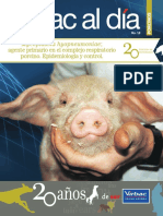 Mycoplasmosis porcina