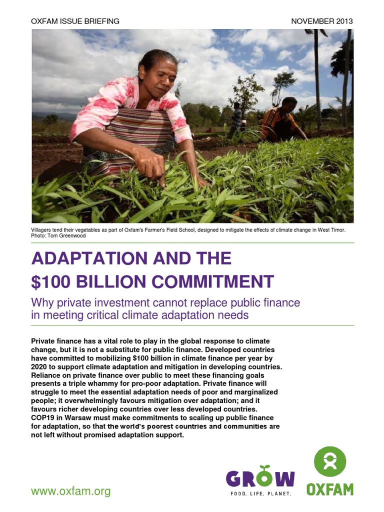 Adaptation And The 100 Billion Commitment Why Private Investment