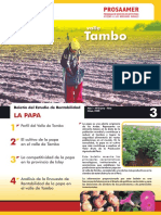 Boletin Papa Tambo PDF