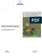 Photosynthesis 16 17