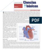 actividad electrica cardiaca.pdf