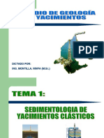 Sedimentologia de yacimientos clasticos.pdf