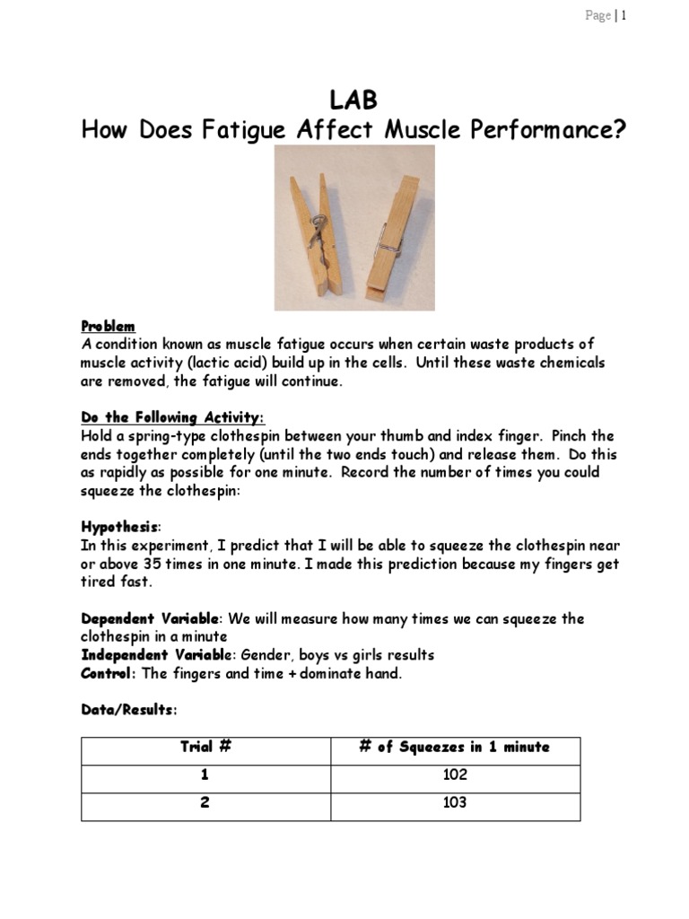 Musclelaba 1 | PDF | Heart Rate | Experiment