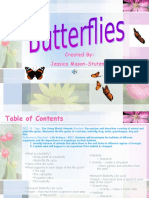Butterfly PPT 2
