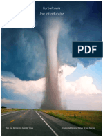 Turbulencia PDF