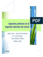 aspectos_prcticos_en_la_engorda_intensiva_de_ovinos.pdf