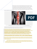 Tentang Penyebab Dan Konsekuensi Dari Cedera Tulang Belakang