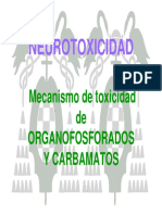 Plaguicidas Neurotoxicidad PDF