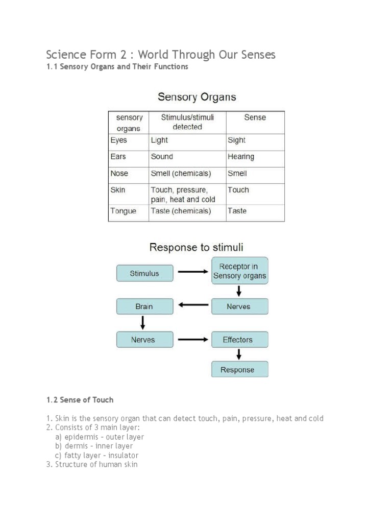 Science Form 2 Chapter 1 | PDF | Reflection (Physics) | Lens (Optics)