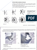 atlas embrio an 2 sem 2.pdf