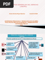Principiosderecho Colombiano