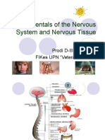 Fundamentals of The Nervous System and Nervous Tissue